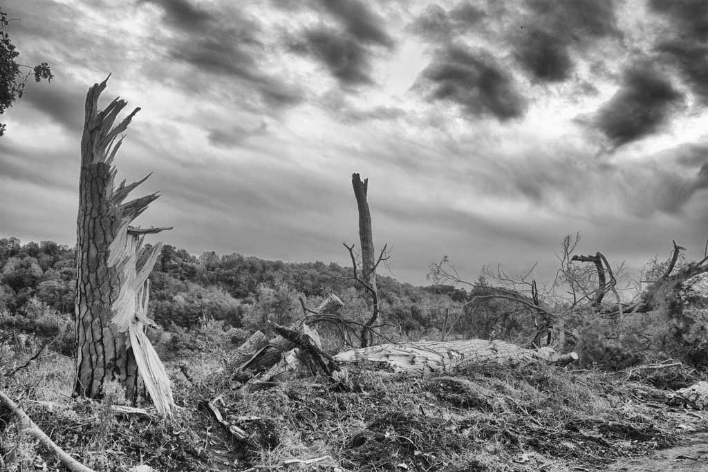 La paura della natura